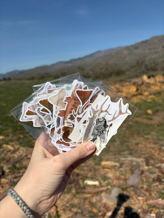 5 Piece Sticker sets