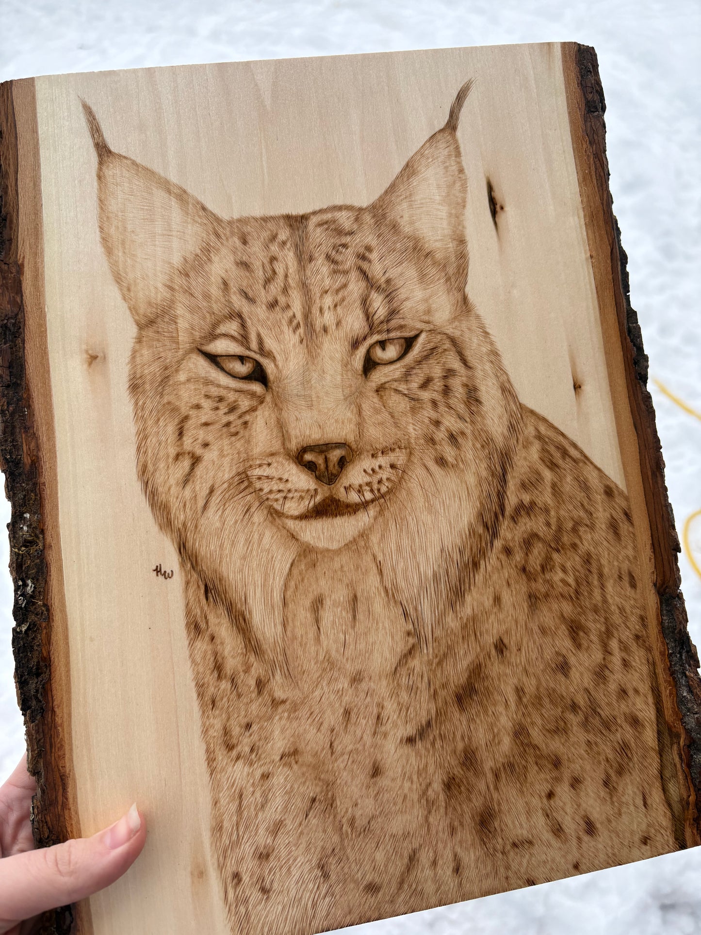 Lynx