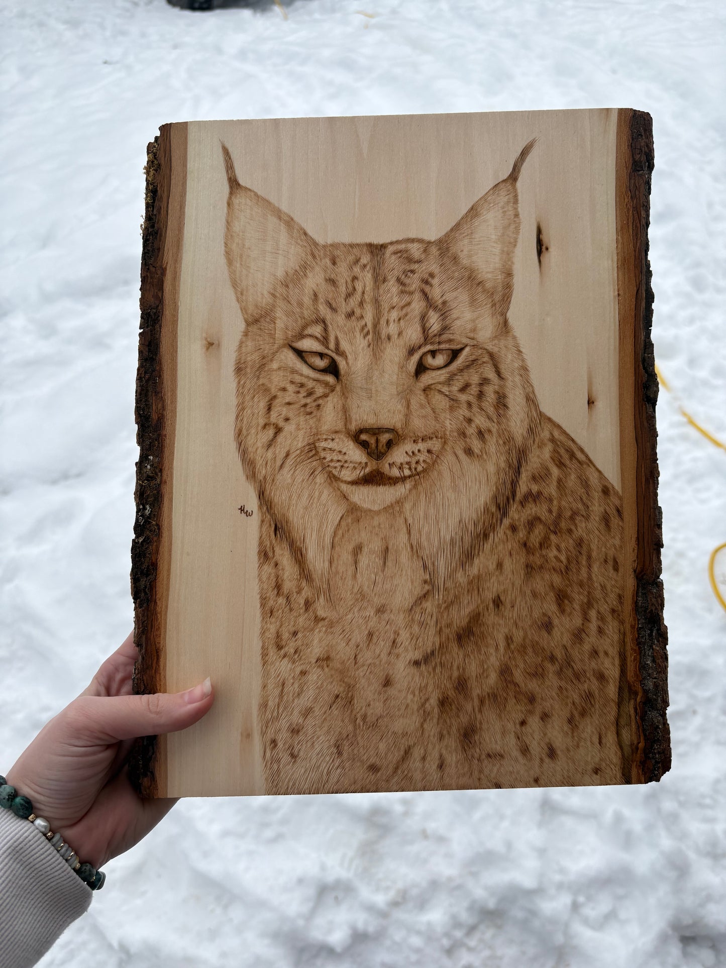 Lynx