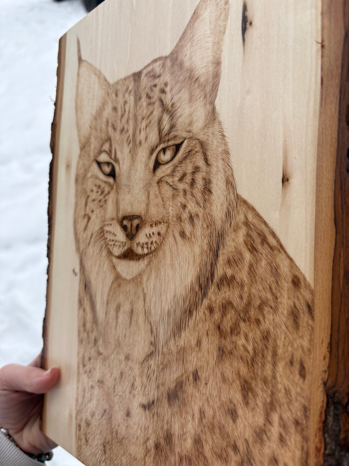 Lynx