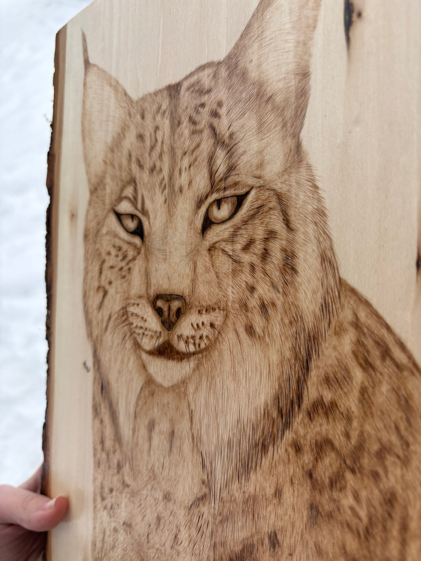 Lynx