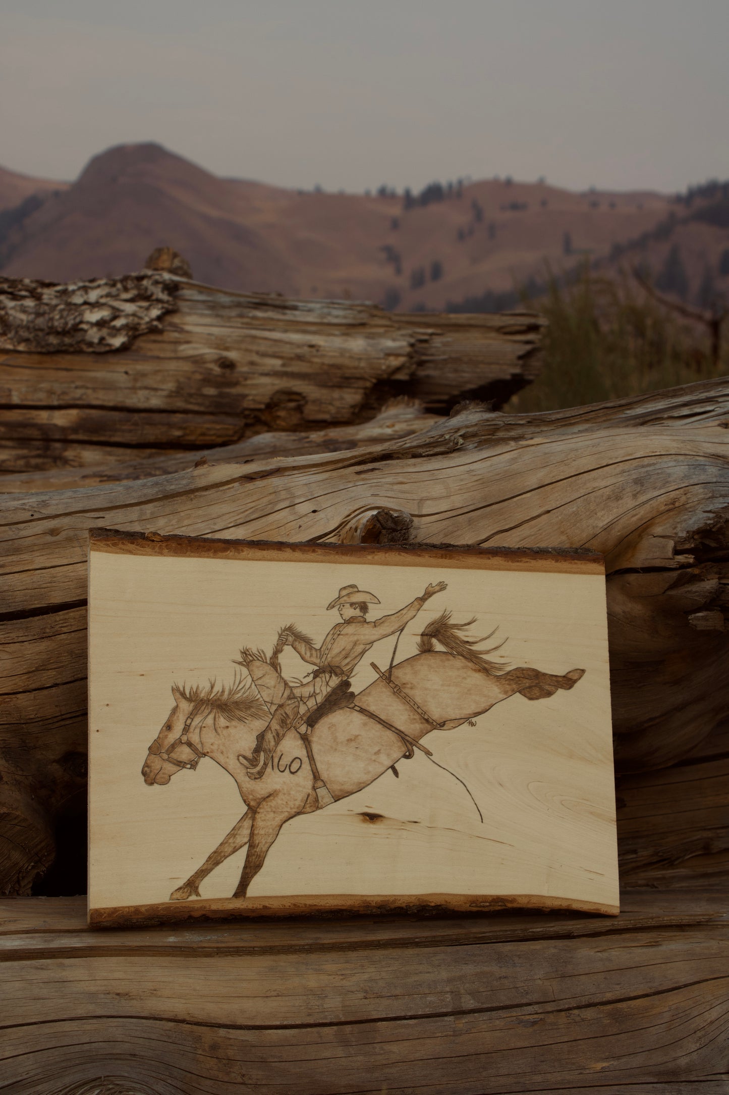 Bronc Rider