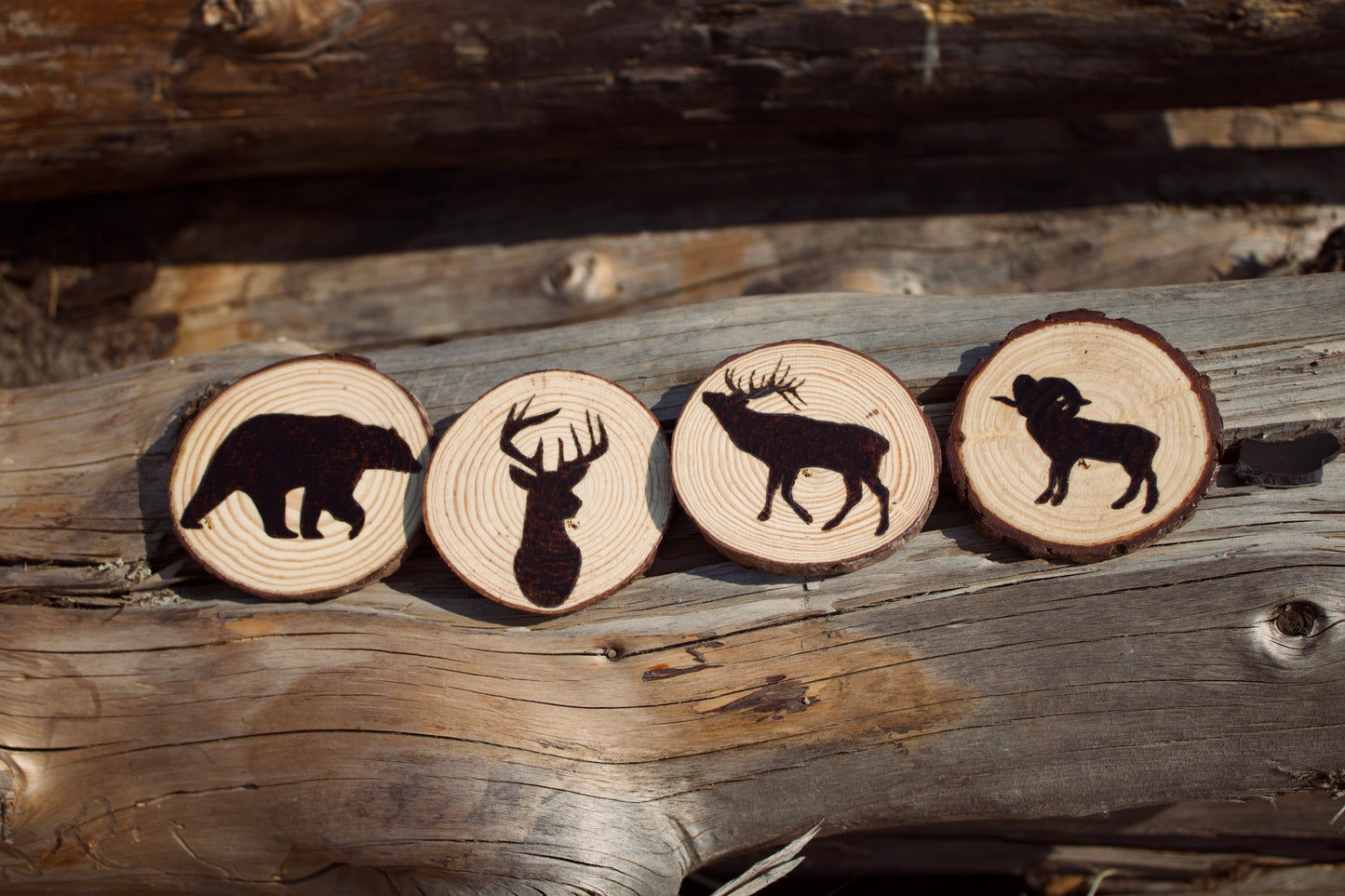Wildlife Coaster (set of 4)
