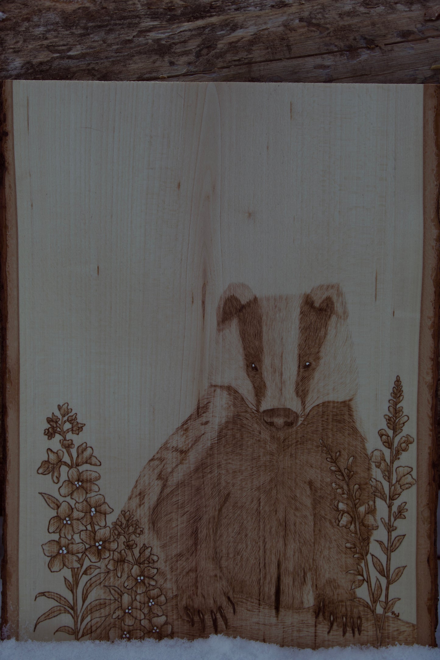 Badger