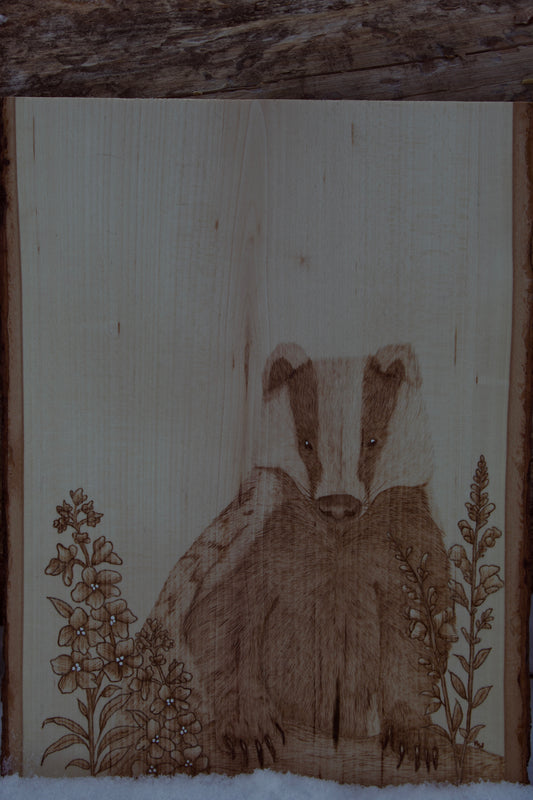Badger