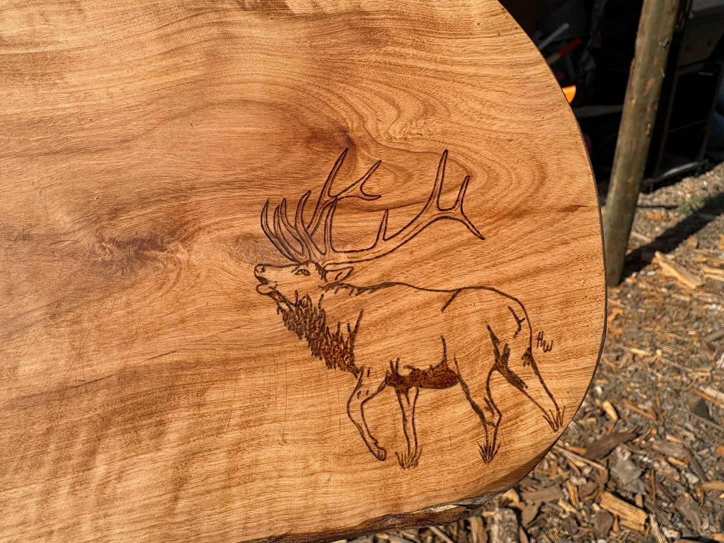 Elk Charcuterie Board