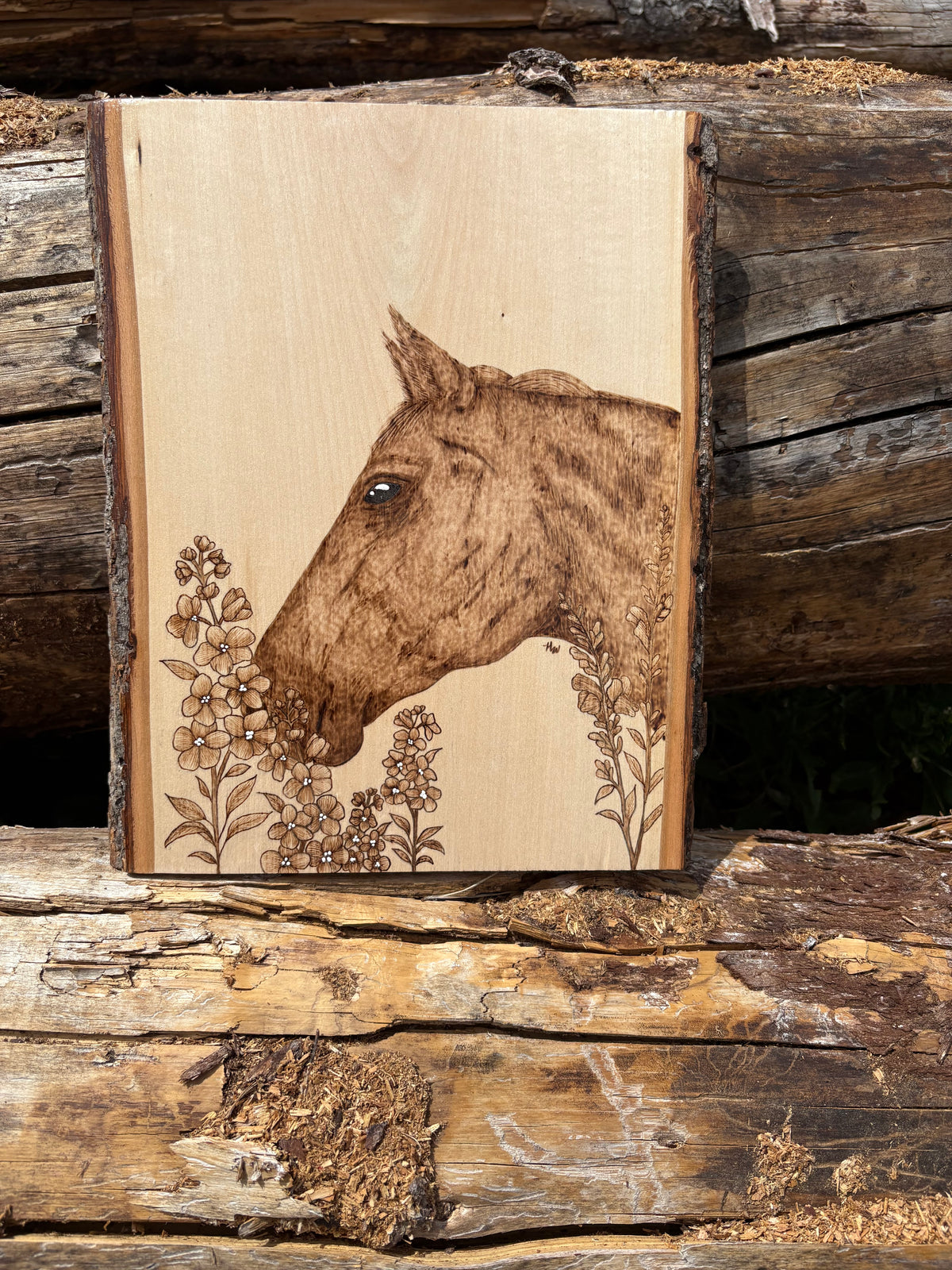 Horse and Wildflower Portrait