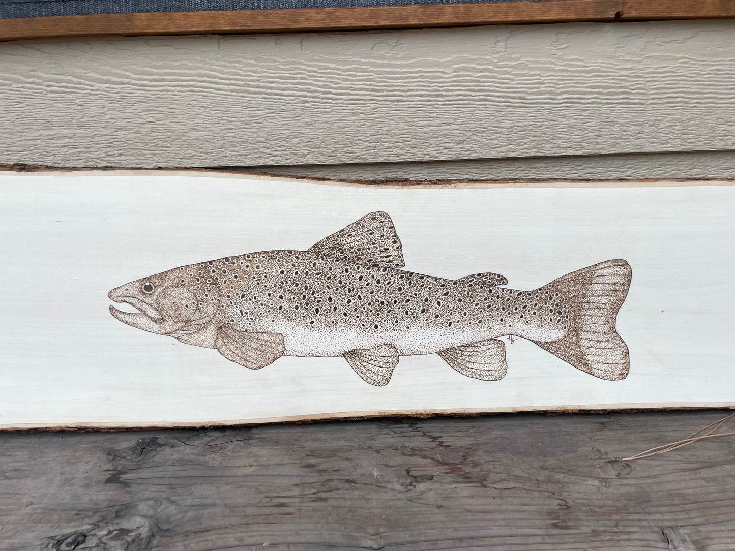 Brown Trout on Basswood Slab