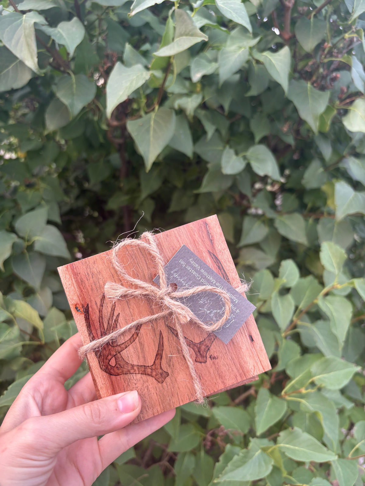 Mule Deer Antler Coasters