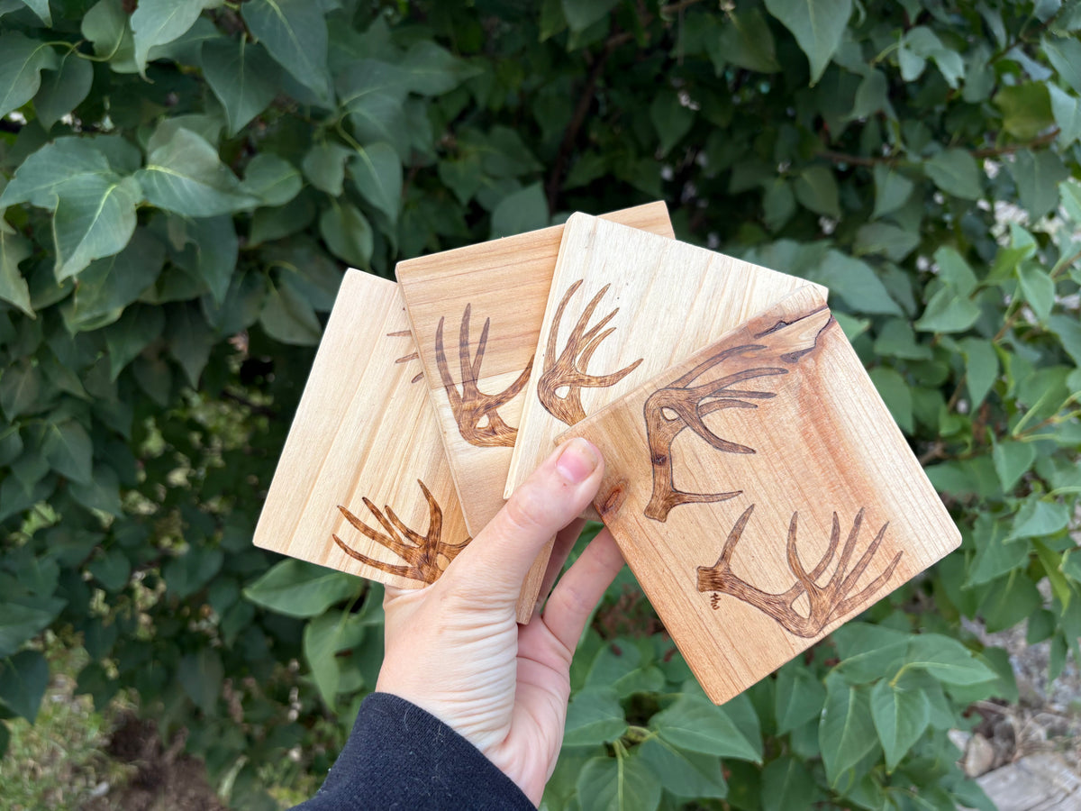 Mule Deer Antler Coasters