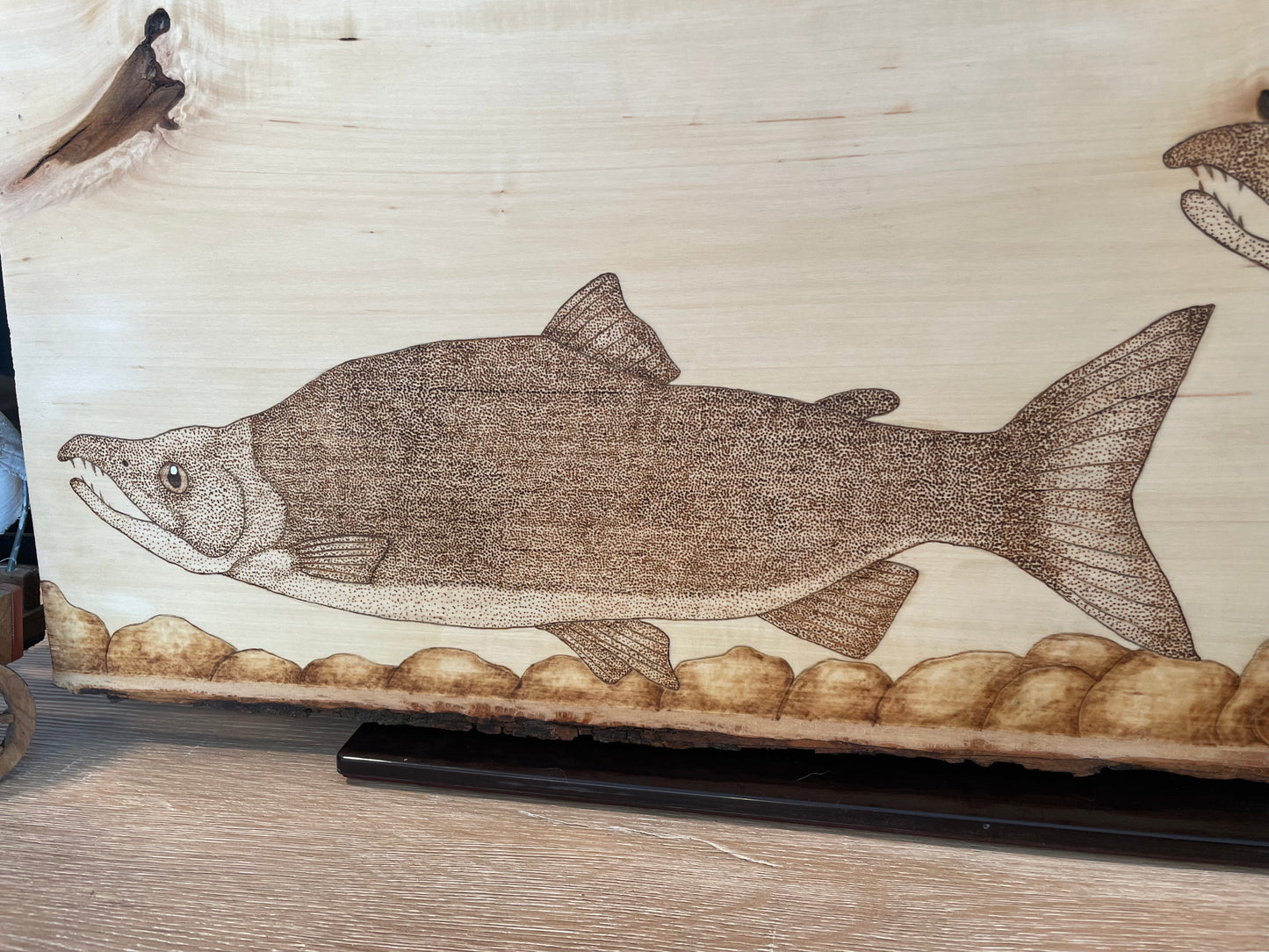 Spawning Sockeye Salmon Pyrography Piece