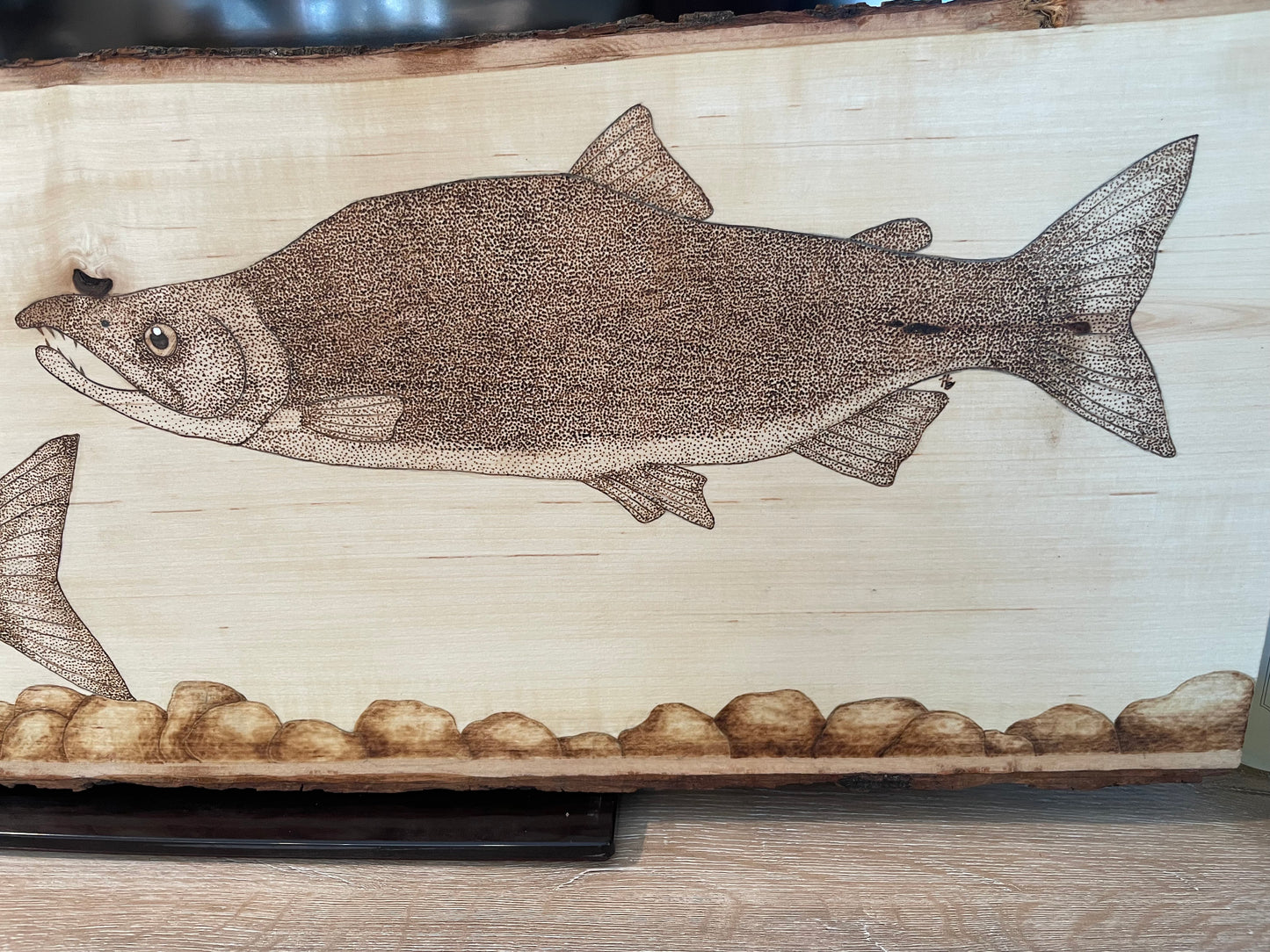 Spawning Sockeye Salmon Pyrography Piece
