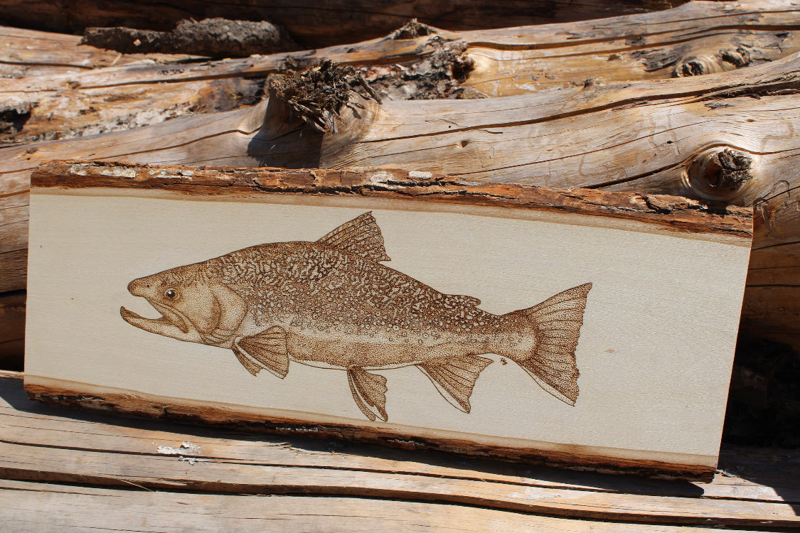 Brook Trout Pyrography Piece