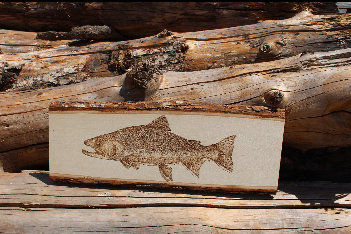 Brook Trout Pyrography Piece