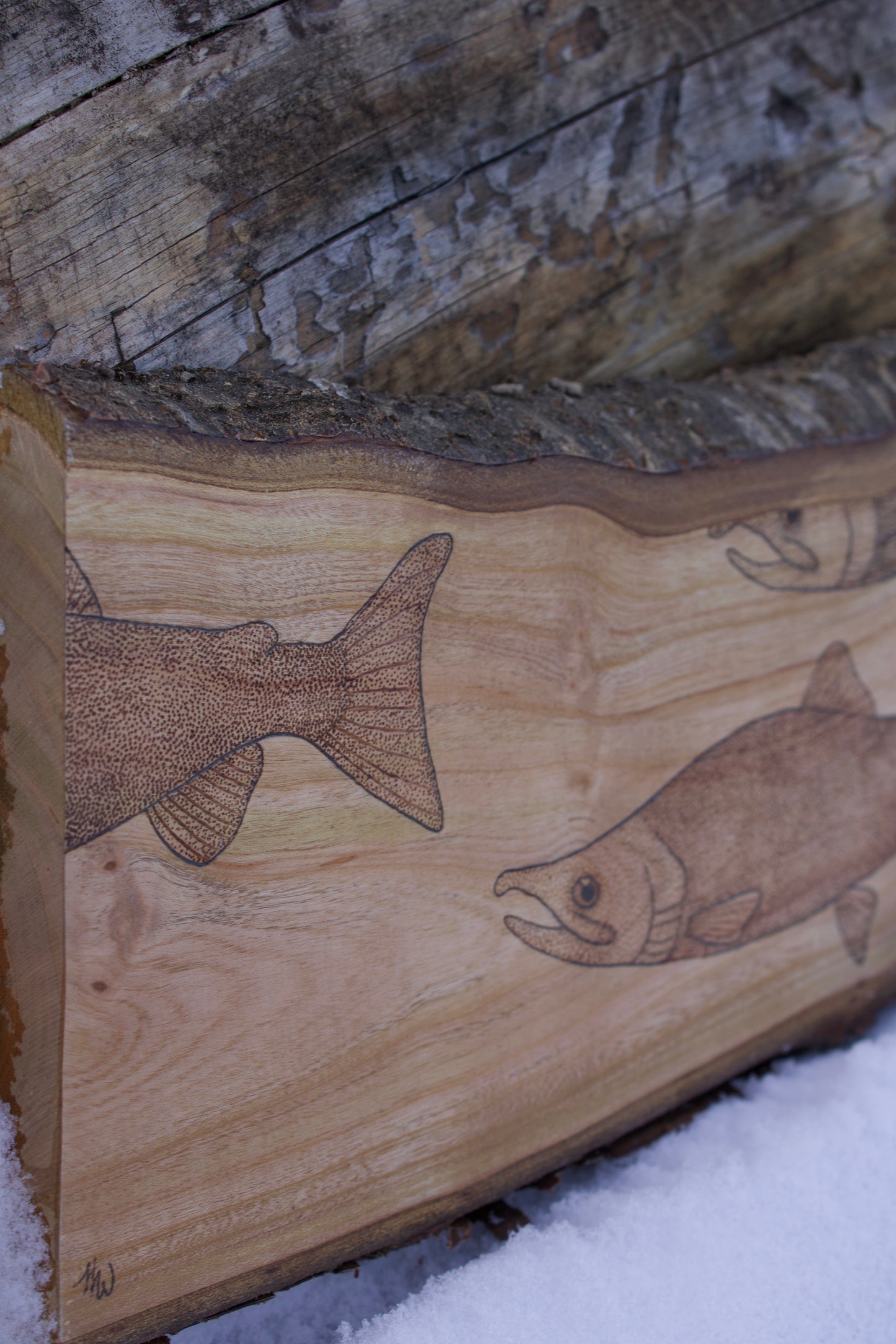 Cherry wood sockeye