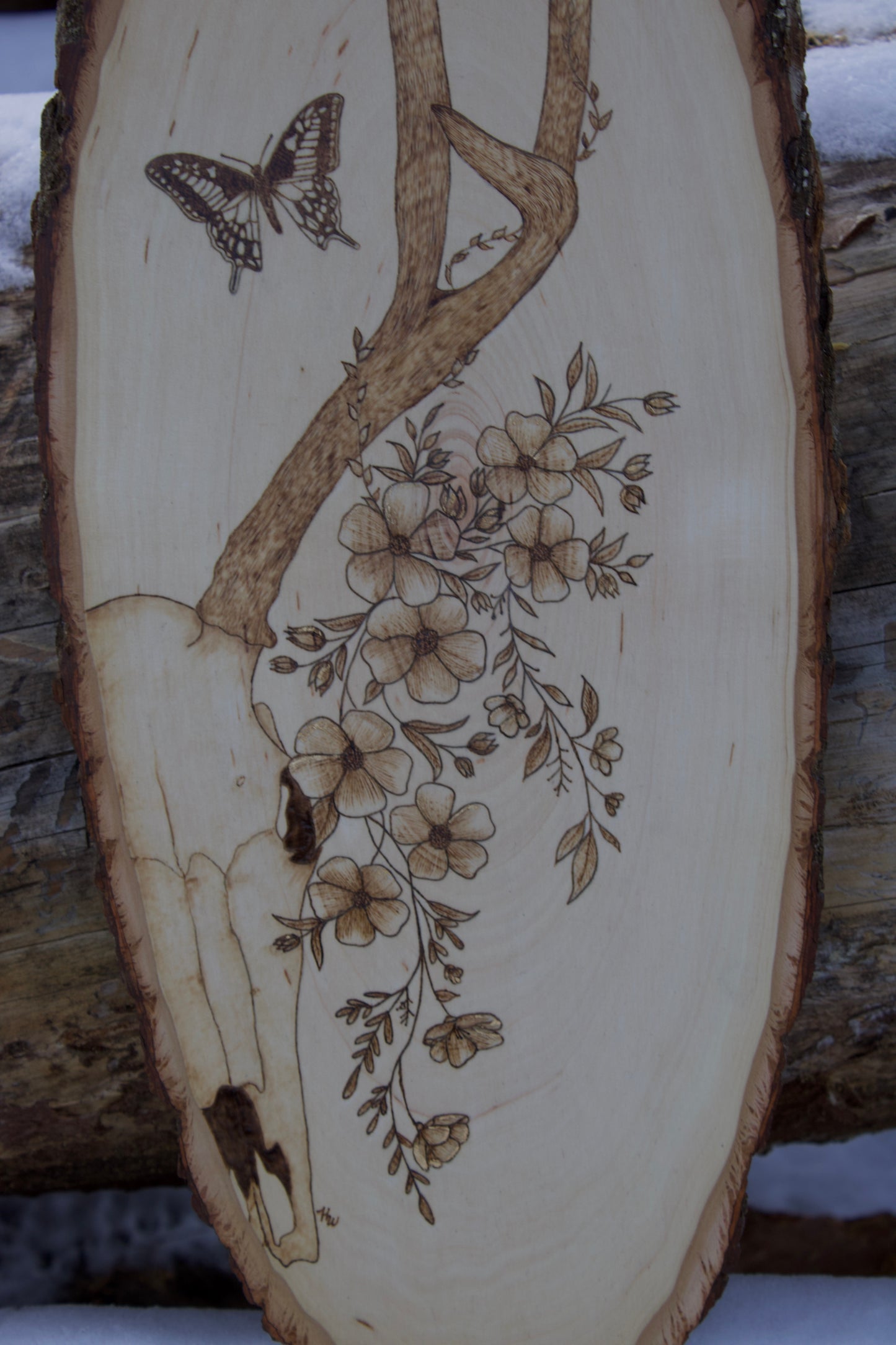 Mule deer skull with florals