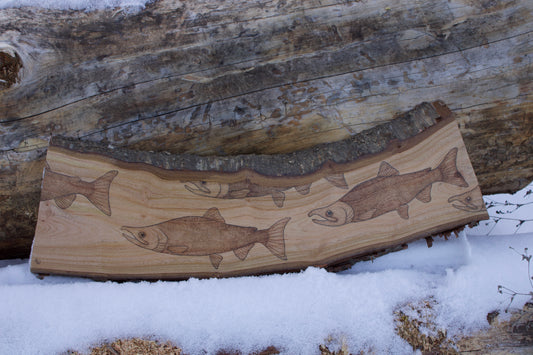 Cherry wood sockeye