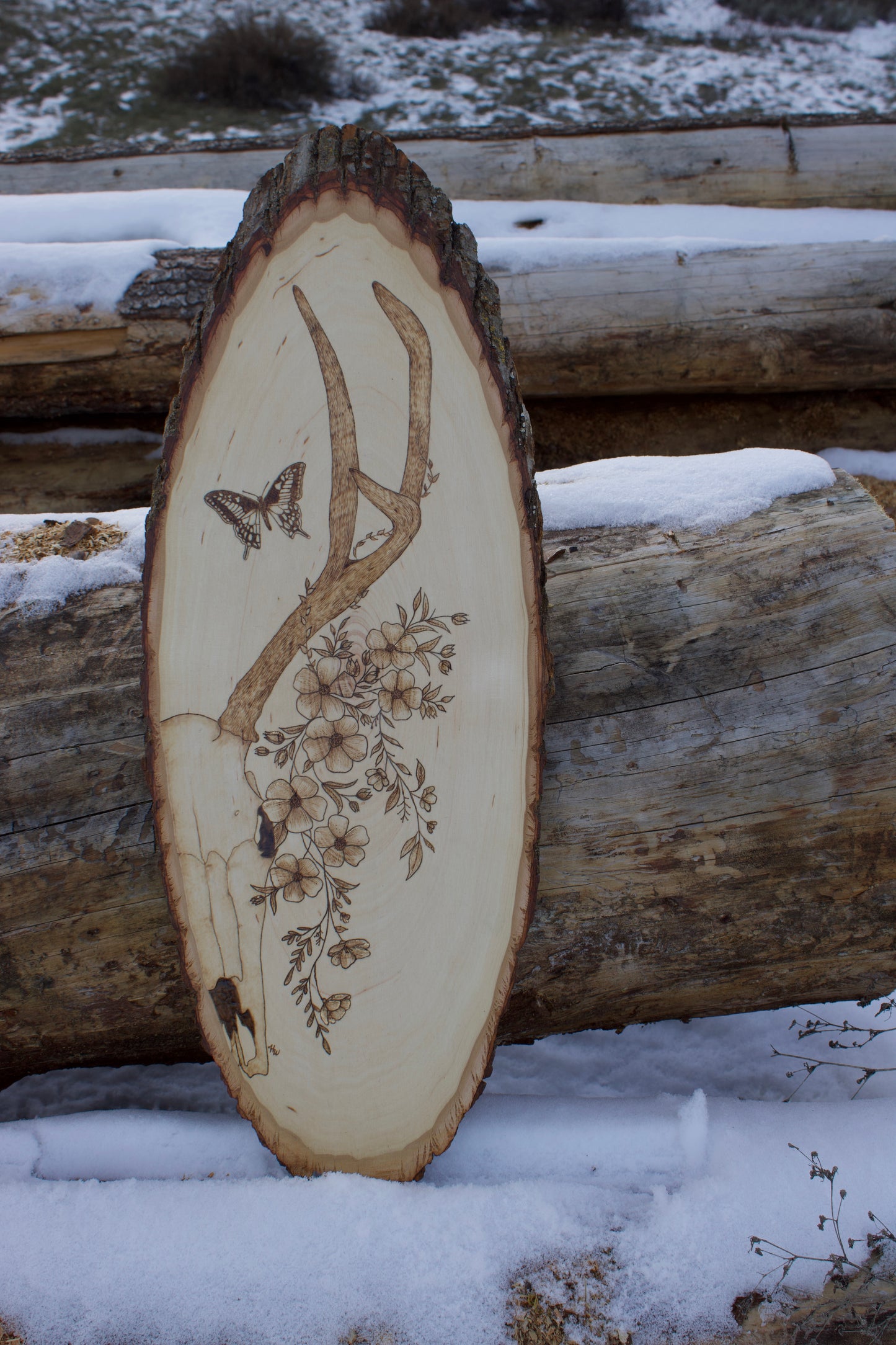 Mule deer skull with florals